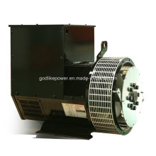 China Famous Manufacturer 64kw/80kVA Alternator Price (JDG224GS)